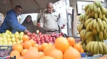 تفاوت أسعار البرتقال والموز في أسواق سوهاج بين 15 و20 جنيها للكيلو